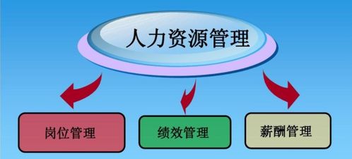 企業(yè)如何選擇薪酬績效管理咨詢公司及其服務(wù)收費模式